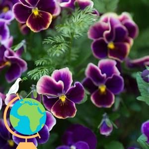 Meet your Posher, Malgorzata